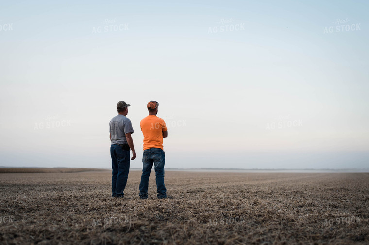 Farmers Standing in Field 115034