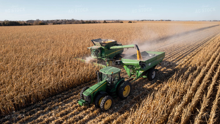 Corn Harvest 114016