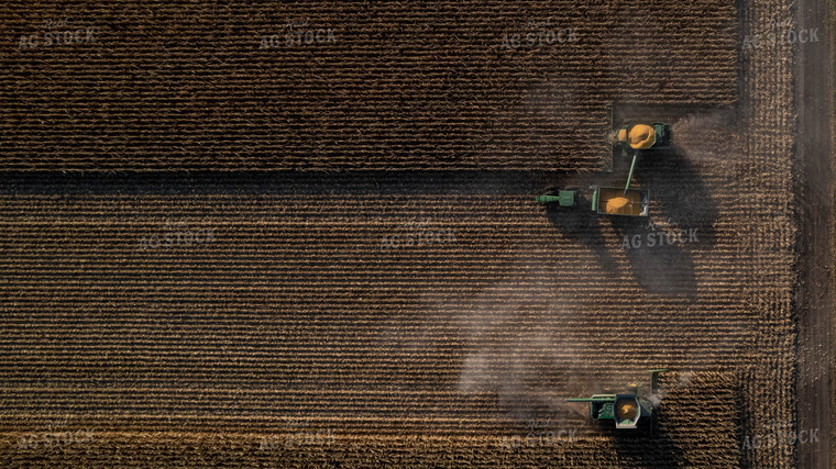 Corn Harvest 114022