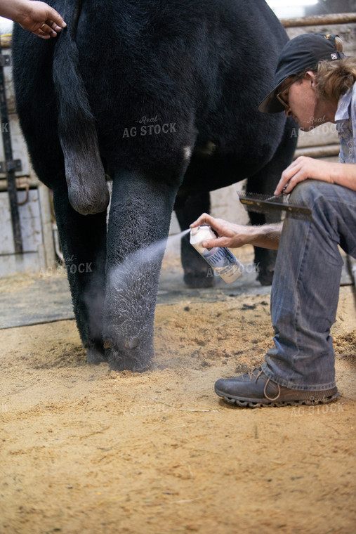 Farmers Grooming Cow 113004