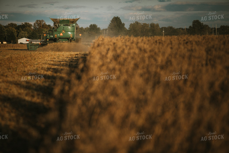 Soybean Harvest 6846
