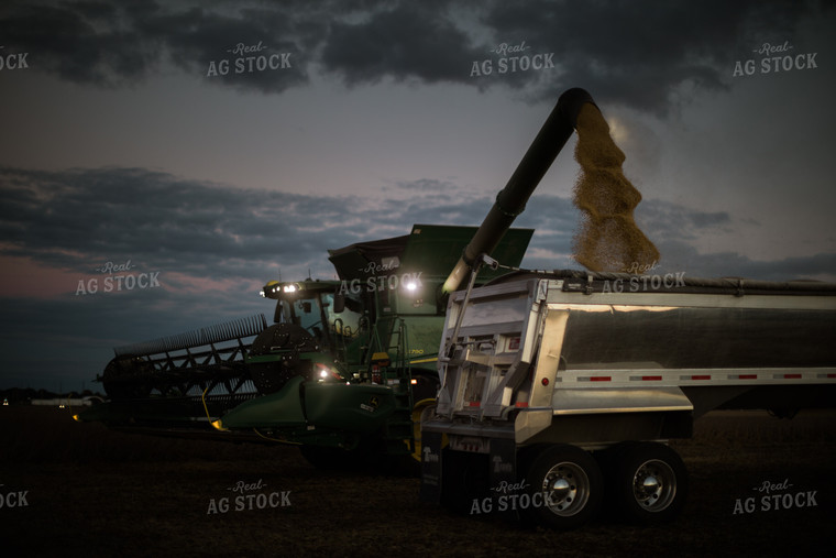 Unloading Soybeans into Semi 6850