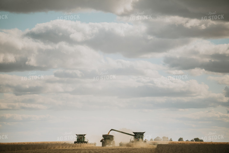 Soybean Harvest 6862