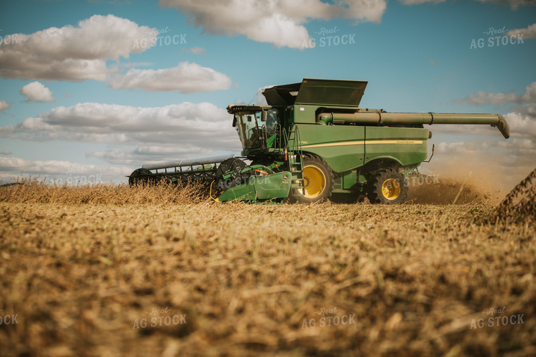 Soybean Harvest 6865