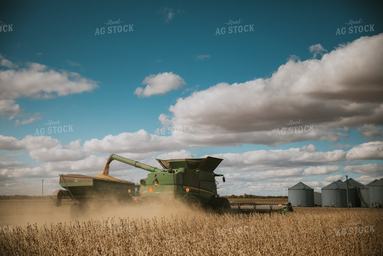 Soybean Harvest 6882