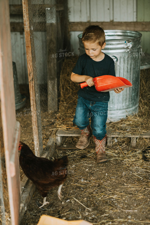 Farm Boy and Chicken 6896