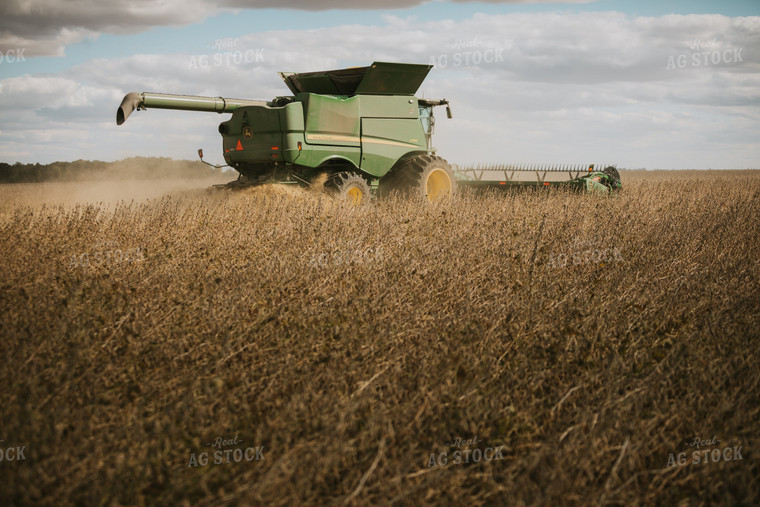 Soybean Harvest 6910