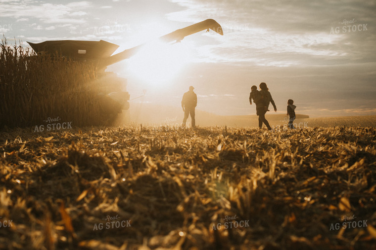 Farm Family in Corn Field 6947