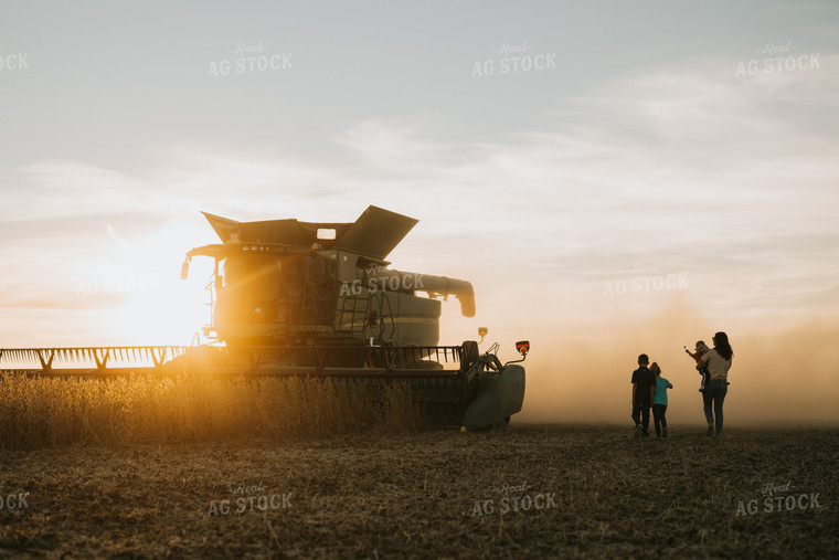 Farm Family in Soybean Field at Dusk 6964