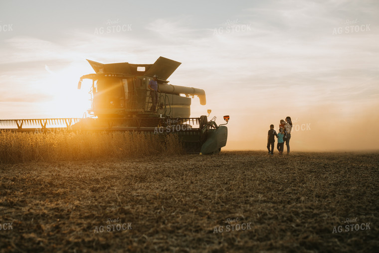 Farm Family in Soybean Field at Dusk 6965