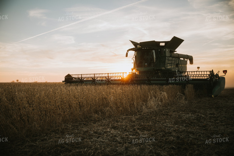 Soybean Harvest at Dusk 7000