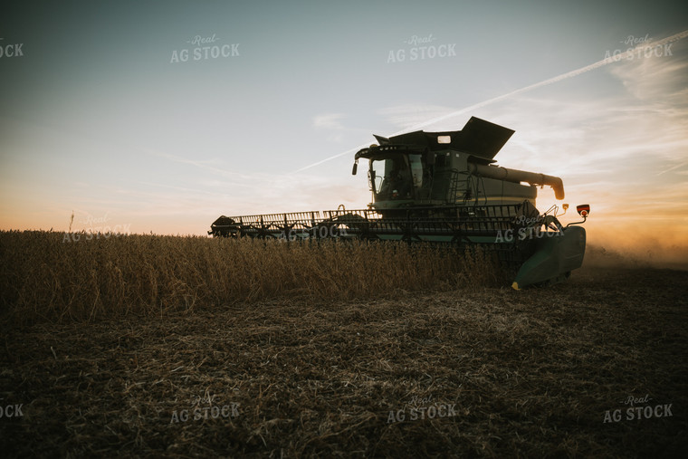 Soybean Harvest at Dusk 7001