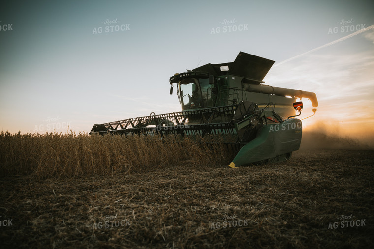 Soybean Harvest at Dusk 7002