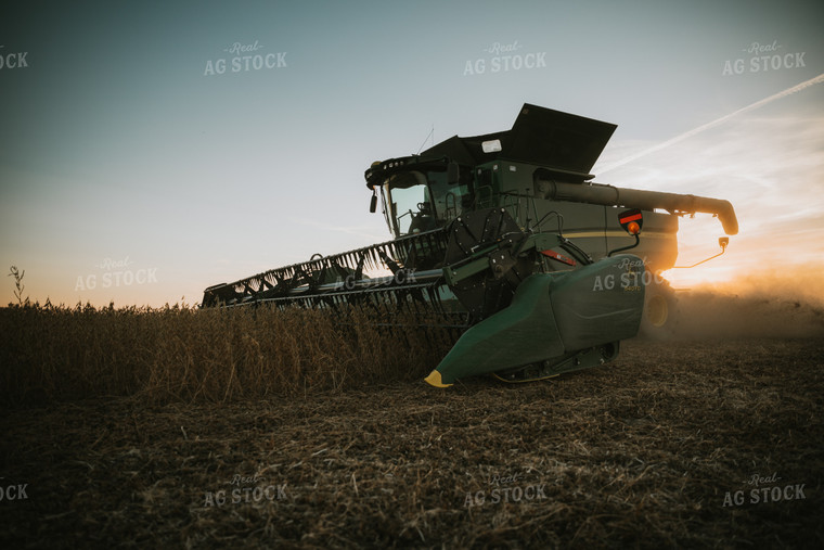 Soybean Harvest at Dusk 7003