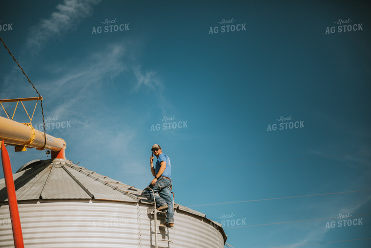 Auger Filling Grain Bin 7071