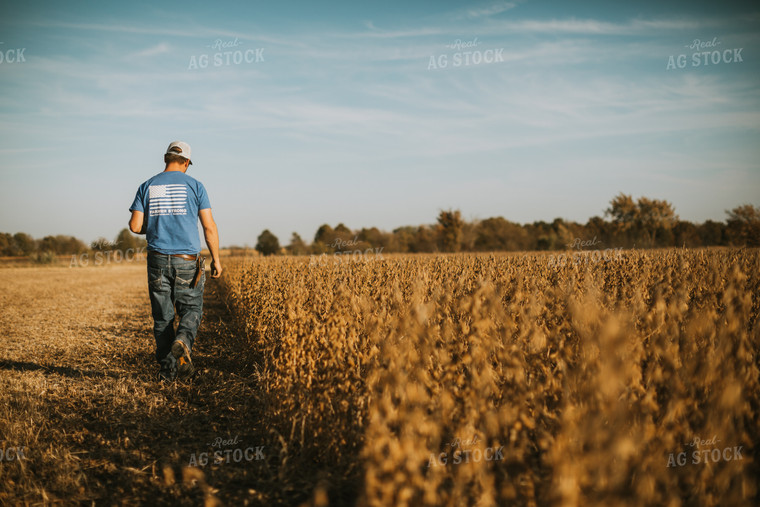 Farmer Walking in Field 7178