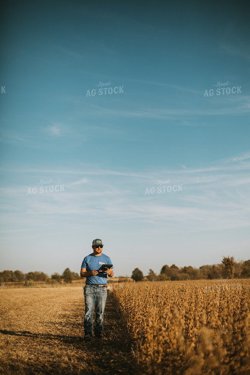 Farmer in Field with Tablet 7179