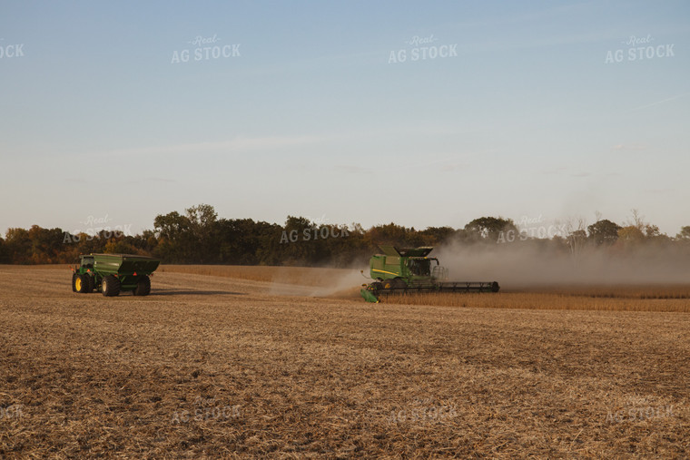 Soybean Harvest 67264