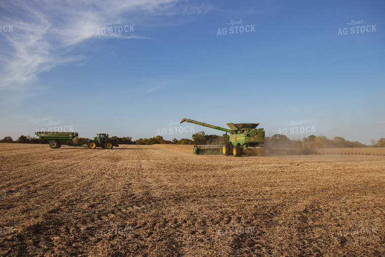 Soybean Harvest 67270