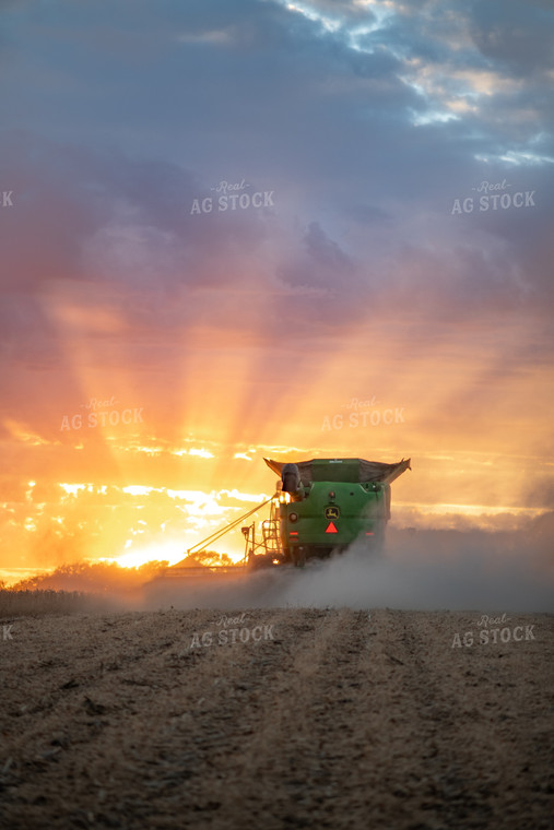 Soybean Harvest at Dusk 76265