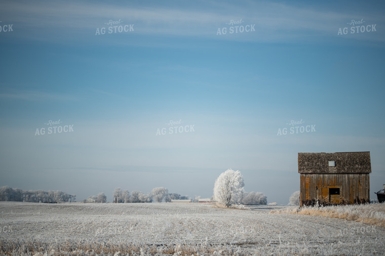 Snow Covered Rural Landscape 76269