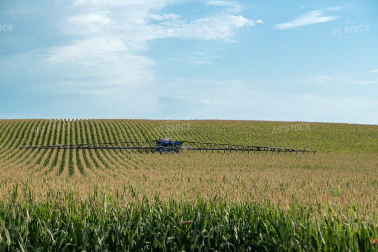 Spraying Corn Field 76284