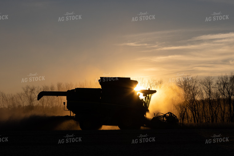 Soybean Harvest at Sunset 52578