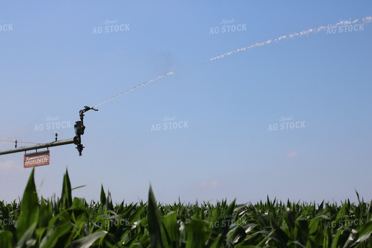 Irrigation System in Corn Field 82082