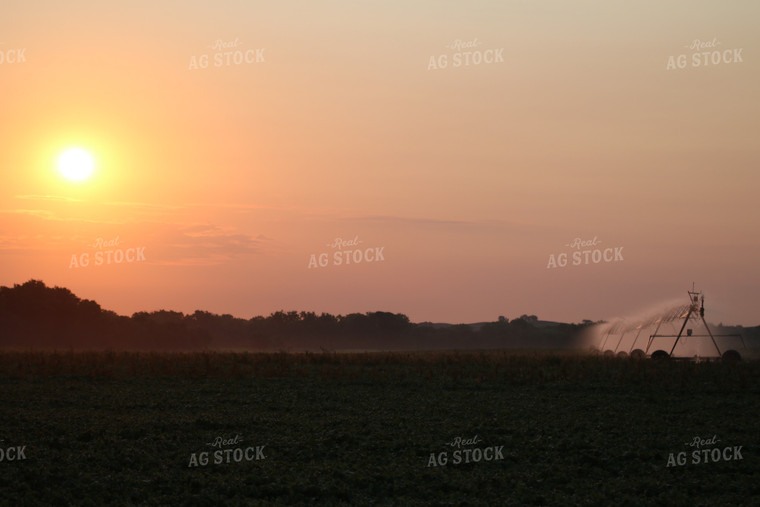 Irrigation System at Dusk 82088