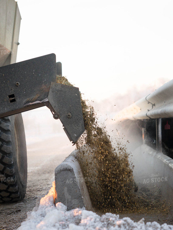 Dispensing Feed into Trough 70146