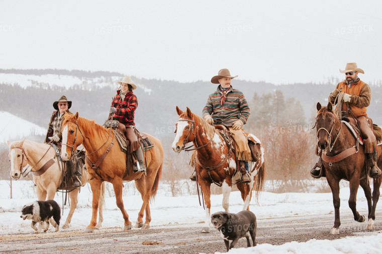 Ranchers on Horses 66091