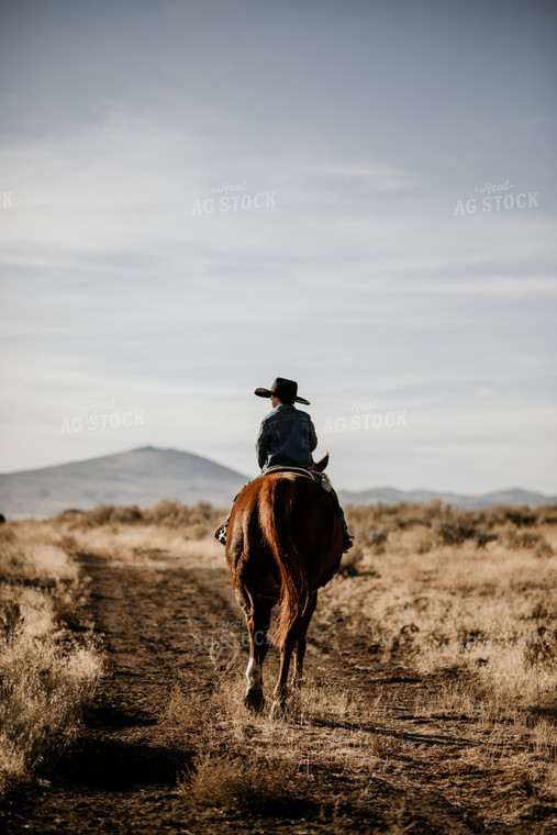 Rancher on Horse 54031