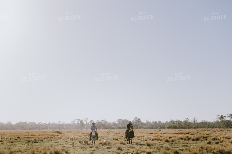 Ranchers in Pasture 7304