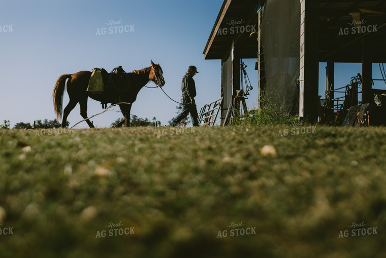 Rancher and Horse 7306