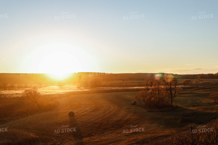 Rural Landscape 123004