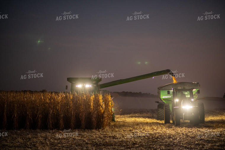 Corn Harvest at Night 76348