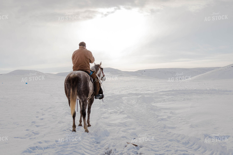 Rancher on Horseback 97124