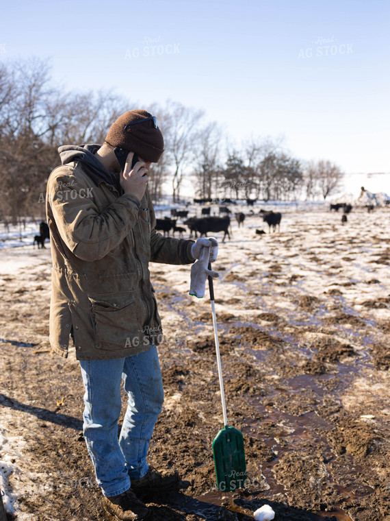 Rancher Talking on Phone in Pasture 70181