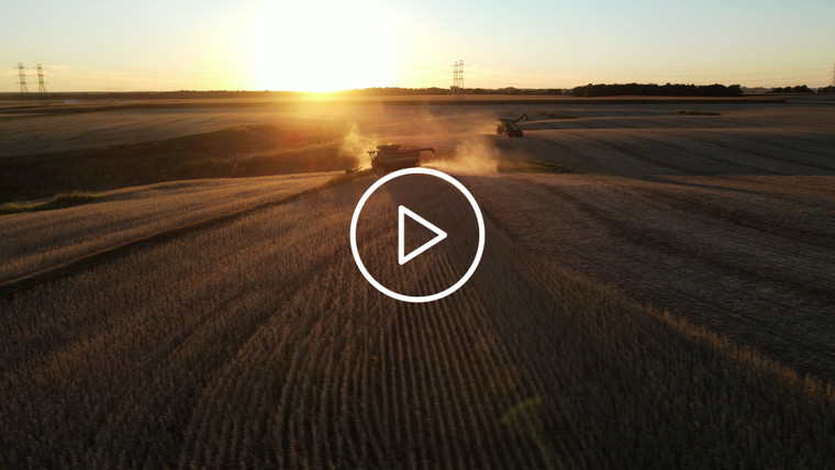 Aerial Drone of Soybean Harvest at Sunset in Field with Terraces 7368