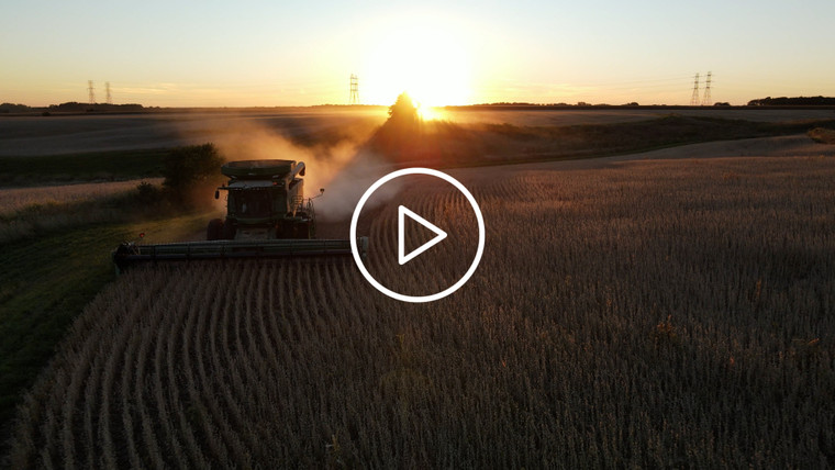 Aerial Drone of Soybean Harvest at Sunset in Field with Terraces 7371