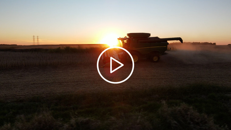 Aerial Drone of Soybean Harvest at Sunset in Field with Terraces 7373
