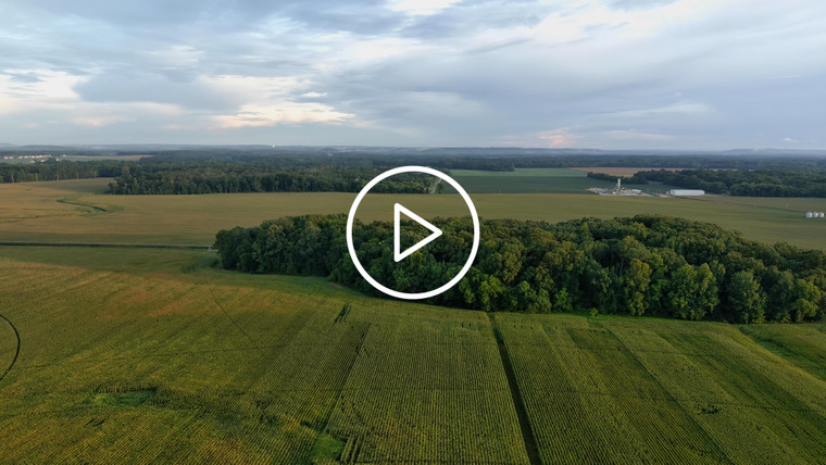 Aerial Corn Field Landscape 79215