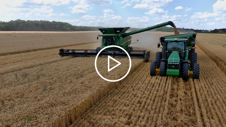 Aerial of Wheat Harvest Combine Loading Grain Cart 79219