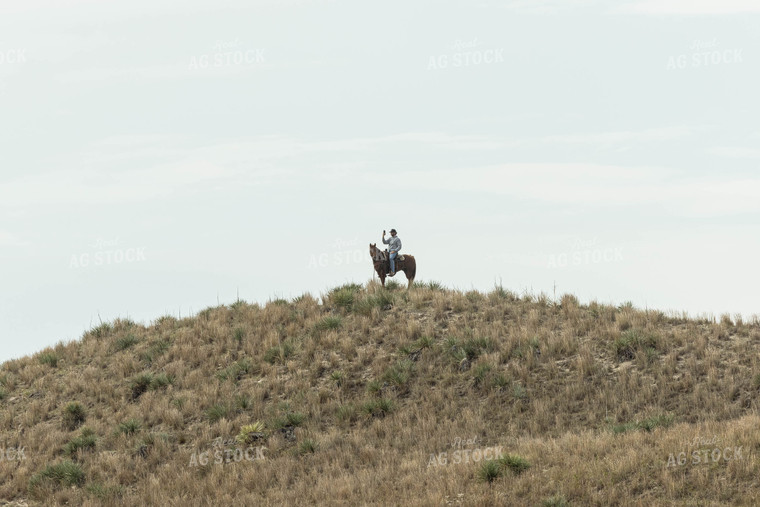 Rancher on Horse at Top of Hill 114052