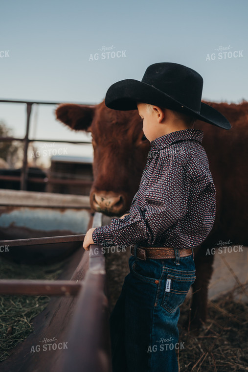 Farm Kid With Cow 61134