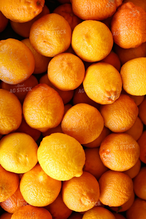 Pile of Lemons 127001