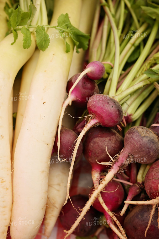 Pile of Radishes 127002