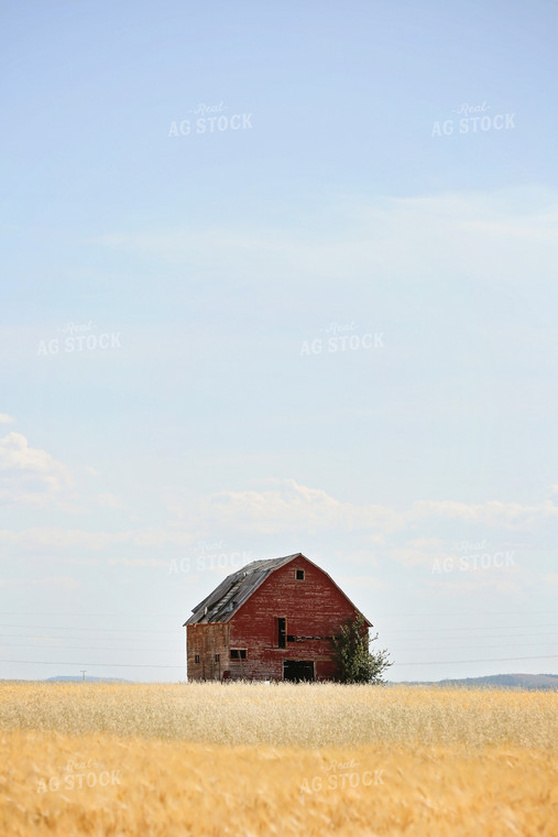 Red Barn in Countryside 127035