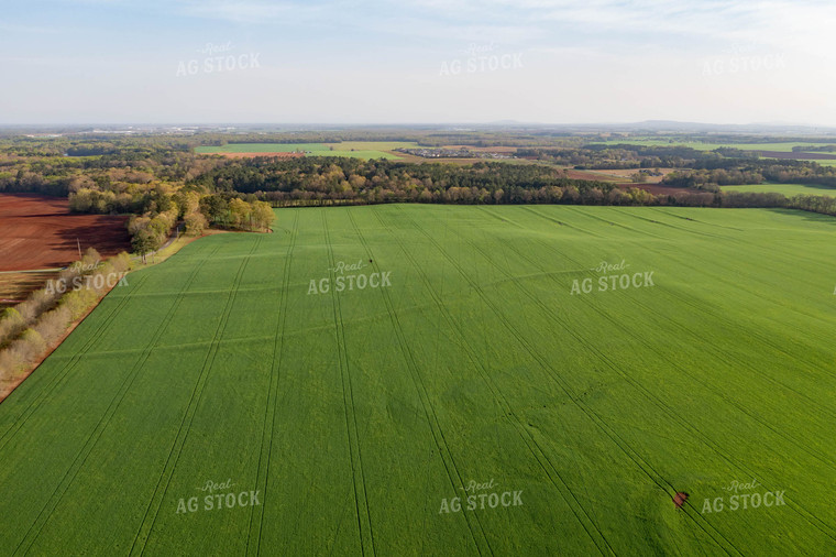 Aerial View of Farmland 79226