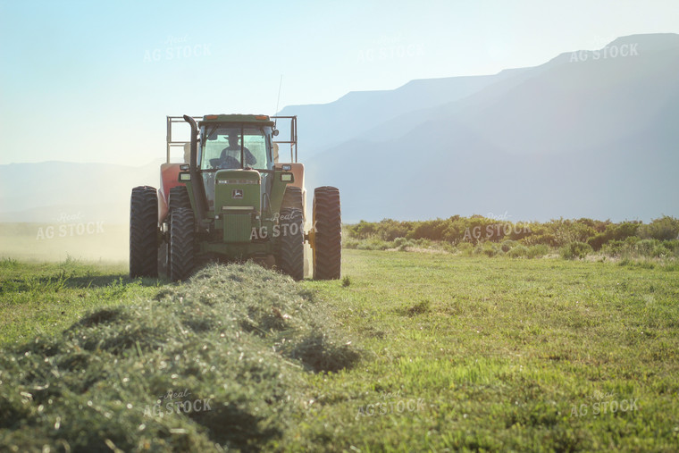 Baling Summer Hay Alfalfa and Mixed Grass 78139